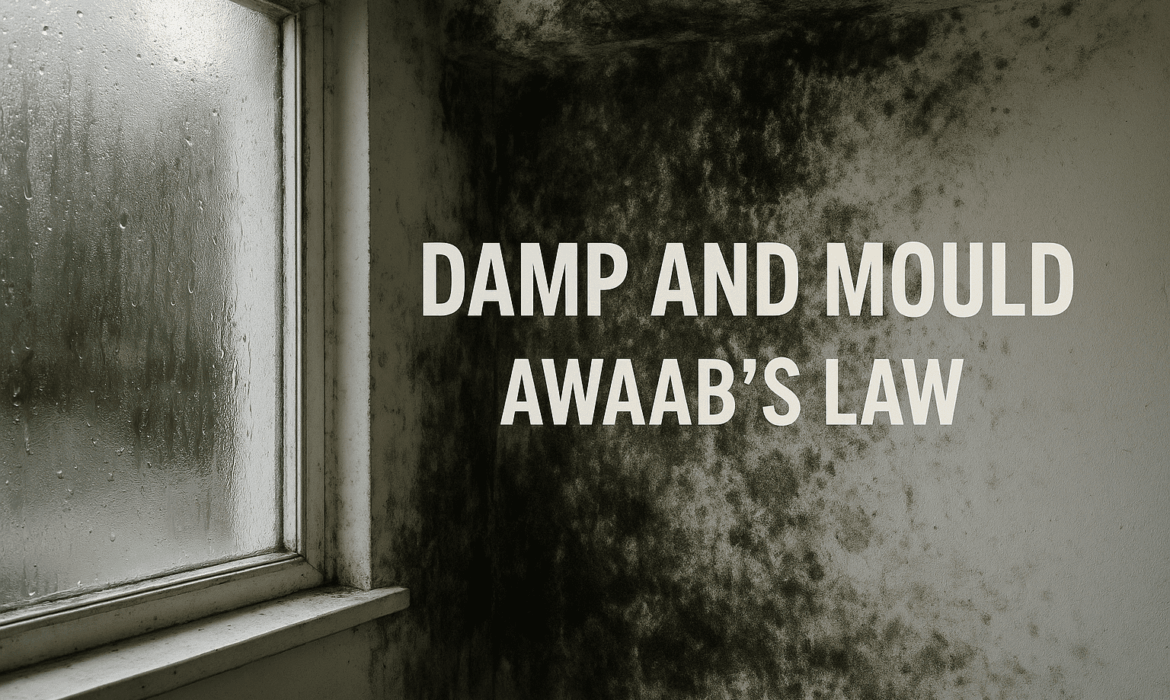 Severe damp and mould around a window in a home, highlighting housing conditions linked to Awaab’s Law and the need for urgent action