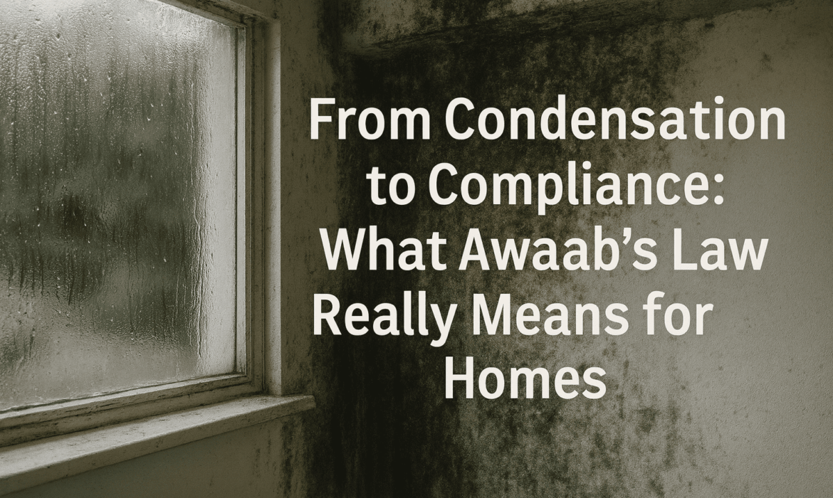 Condensation on window and severe mould growth on wall, illustrating housing conditions linked to Awaab’s Law and the need for compliance and safe homes standards